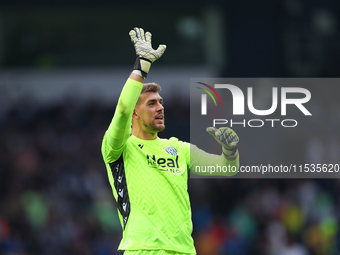 Alex Palmer, goalkeeper of West Bromwich, celebrates at the end of the Sky Bet Championship match between West Bromwich Albion and Swansea C...