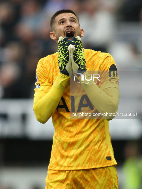 Tottenham Hotspur goalkeeper Guglielmo Vicario shows dejection during the Premier League match between Newcastle United and Tottenham Hotspu...