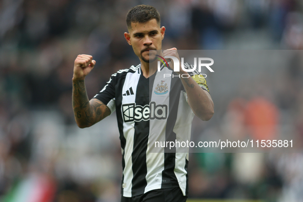 Newcastle United's Bruno Guimaraes during the Premier League match between Newcastle United and Tottenham Hotspur at St. James's Park in New...