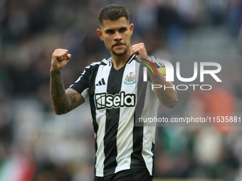 Newcastle United's Bruno Guimaraes during the Premier League match between Newcastle United and Tottenham Hotspur at St. James's Park in New...