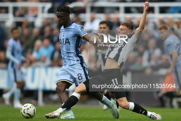 Tottenham Hotspur's Yves Bissouma is challenged by Newcastle United's Harvey Barnes during the Premier League match between Newcastle United...