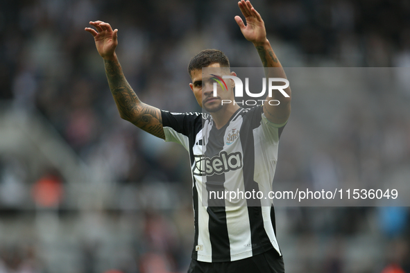 Newcastle United's Bruno Guimaraes during the Premier League match between Newcastle United and Tottenham Hotspur at St. James's Park in New...