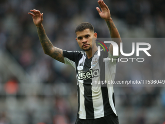 Newcastle United's Bruno Guimaraes during the Premier League match between Newcastle United and Tottenham Hotspur at St. James's Park in New...