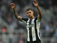 Newcastle United's Bruno Guimaraes during the Premier League match between Newcastle United and Tottenham Hotspur at St. James's Park in New...