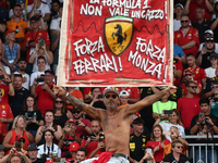 Fans after the Formula 1 Italian Grand Prix at Autodromo Nazionale di Monza in Monza, Italy on September 1, 2024. (