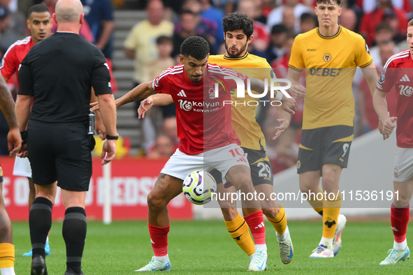 Morgan Gibbs-White of Nottingham Forest holds off Goncalo Guedes of Wolverhampton Wanderers during the Premier League match between Nottingh...