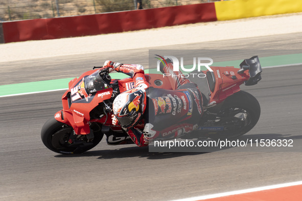 Pedro Acosta (Spa-GASGAS Factory Racing) participates in the Moto Grand Prix GoPro of Aragon Grand Prix Race MotoGP on Sunday at the Motorla...