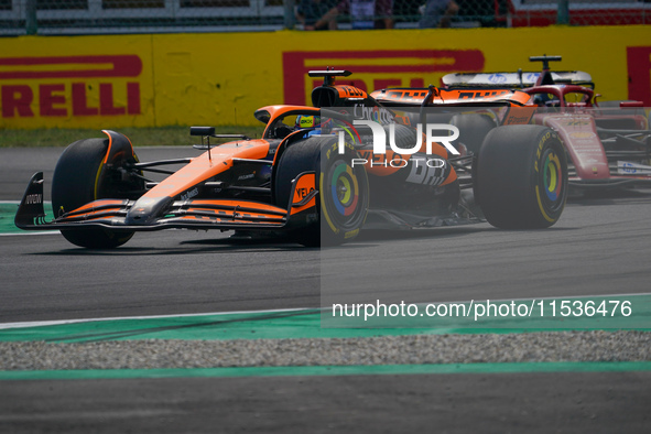 Oscar Piastri of Australia drives the (81) McLaren F1 Team MCL38 Mercedes during the race of the Formula 1 Pirelli Gran Premio d'Italia 2024...