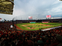 Diablos Rojos fans are seen during match 6 of the Mexican Baseball League (LMB) South Zone 2024 championship series at the Alfredo Harp Helu...