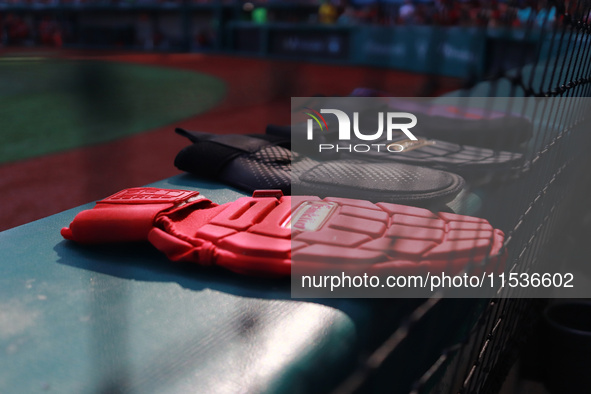 Sliding mitts of Guerreros de Oaxaca are seen during match 6 of the Mexican Baseball League (LMB) South Zone 2024 championship series at the...