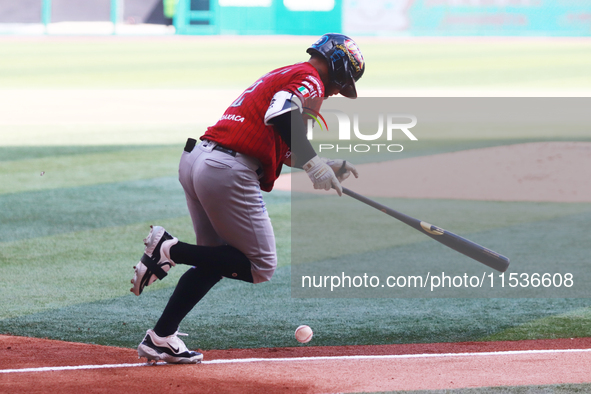 Alexi Amarista #2 of Guerreros de Oaxaca bats during match 6 of the Mexican Baseball League (LMB) South Zone 2024 championship series agains...