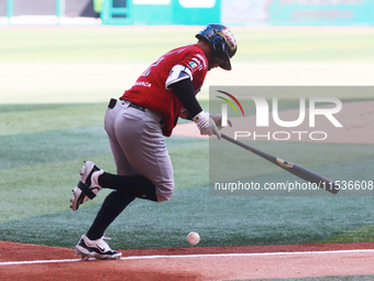 Alexi Amarista #2 of Guerreros de Oaxaca bats during match 6 of the Mexican Baseball League (LMB) South Zone 2024 championship series agains...