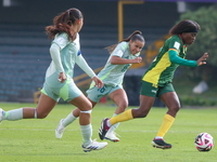 Naomi Eto of Cameroon and Yareli Valadez of Mexico fight for the ball during the 2024 FIFA U-20 Women's World Cup match between Cameroon and...