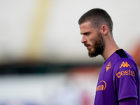 David De Gea of ACF Fiorentina looks on during the Serie A Enilive match between ACF Fiorentina and AC Monza at Stadio Artemio Franchi on Se...