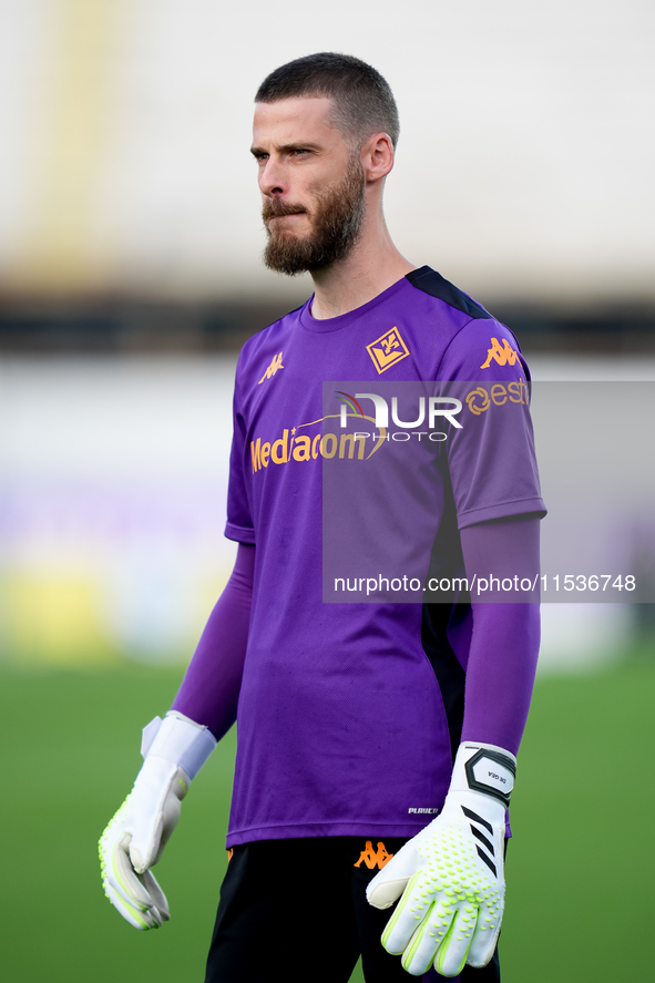 David De Gea of ACF Fiorentina looks on during the Serie A Enilive match between ACF Fiorentina and AC Monza at Stadio Artemio Franchi on Se...