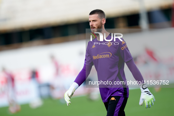 David De Gea of ACF Fiorentina looks on during the Serie A Enilive match between ACF Fiorentina and AC Monza at Stadio Artemio Franchi on Se...