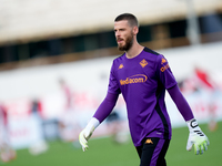 David De Gea of ACF Fiorentina looks on during the Serie A Enilive match between ACF Fiorentina and AC Monza at Stadio Artemio Franchi on Se...