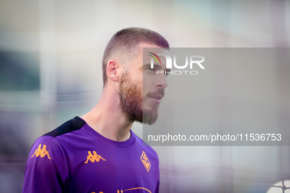 David De Gea of ACF Fiorentina looks on during the Serie A Enilive match between ACF Fiorentina and AC Monza at Stadio Artemio Franchi on Se...