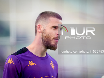 David De Gea of ACF Fiorentina looks on during the Serie A Enilive match between ACF Fiorentina and AC Monza at Stadio Artemio Franchi on Se...