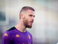 David De Gea of ACF Fiorentina looks on during the Serie A Enilive match between ACF Fiorentina and AC Monza at Stadio Artemio Franchi on Se...