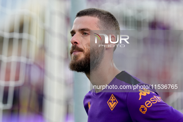 David De Gea of ACF Fiorentina looks on during the Serie A Enilive match between ACF Fiorentina and AC Monza at Stadio Artemio Franchi on Se...