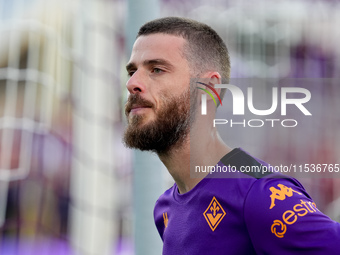 David De Gea of ACF Fiorentina looks on during the Serie A Enilive match between ACF Fiorentina and AC Monza at Stadio Artemio Franchi on Se...