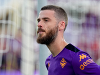 David De Gea of ACF Fiorentina looks on during the Serie A Enilive match between ACF Fiorentina and AC Monza at Stadio Artemio Franchi on Se...