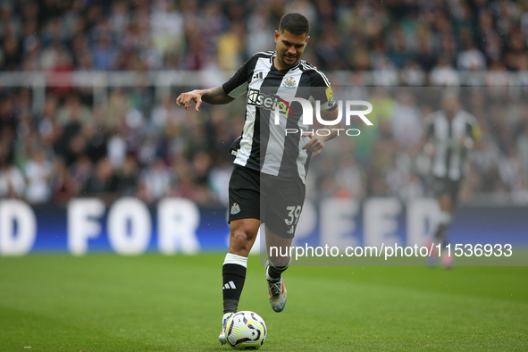 Newcastle United's Bruno Guimaraes during the Premier League match between Newcastle United and Tottenham Hotspur at St. James's Park in New...