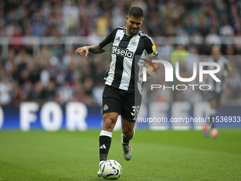 Newcastle United's Bruno Guimaraes during the Premier League match between Newcastle United and Tottenham Hotspur at St. James's Park in New...