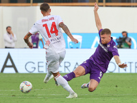 Lucas Beltran of ACF Fiorentina and Daniel Maldini of AC Monza battle for the ball during the Italian Serie A football match between ACF Fio...