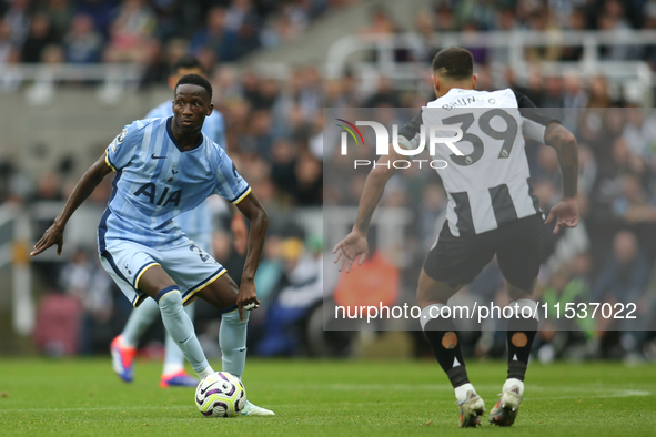 Newcastle United's Bruno Guimaraes closes down Tottenham Hotspur's Pape Matar Sarr during the Premier League match between Newcastle United...