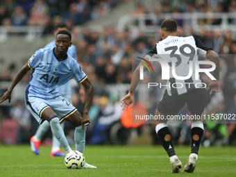 Newcastle United's Bruno Guimaraes closes down Tottenham Hotspur's Pape Matar Sarr during the Premier League match between Newcastle United...