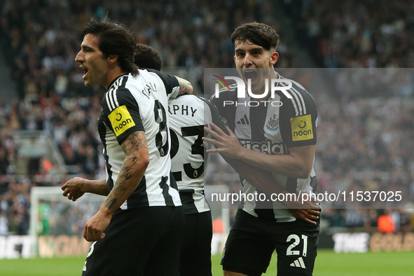 Tino Livramento celebrates with Sandro Tonali and Jacob Murphy during the Premier League match between Newcastle United and Tottenham Hotspu...