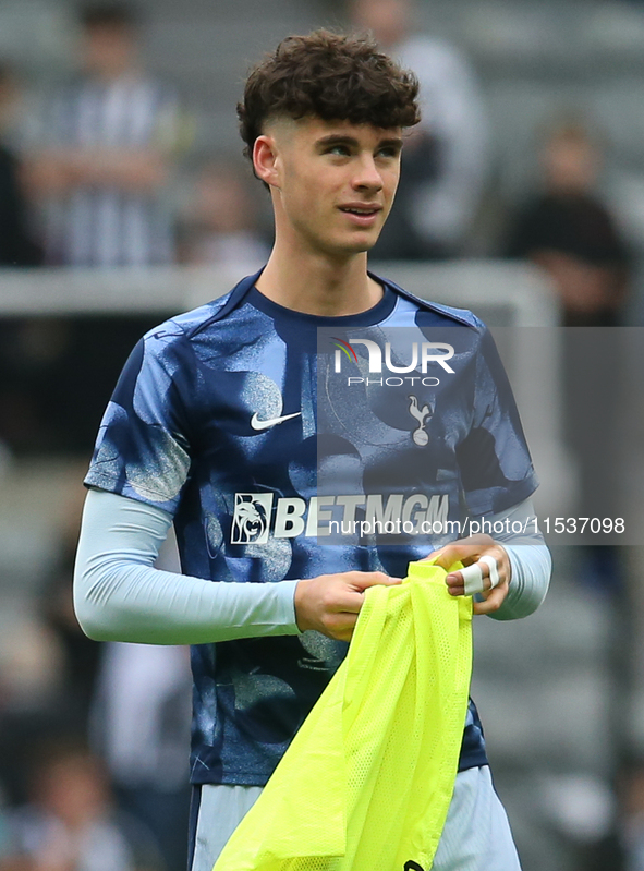 Tottenham Hotspur's Archie Gray during the Premier League match between Newcastle United and Tottenham Hotspur at St. James's Park in Newcas...