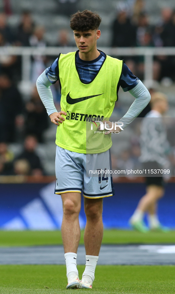 Tottenham Hotspur's Archie Gray during the Premier League match between Newcastle United and Tottenham Hotspur at St. James's Park in Newcas...