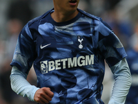 Tottenham Hotspur's Son Heung-Min during the Premier League match between Newcastle United and Tottenham Hotspur at St. James's Park in Newc...