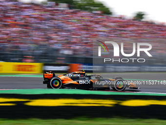 Lando Norris of the McLaren F1 Team drives his single-seater during the race of the Italian GP, the 16th round of the Formula 1 World Champi...