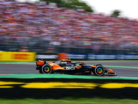 Lando Norris of the McLaren F1 Team drives his single-seater during the race of the Italian GP, the 16th round of the Formula 1 World Champi...