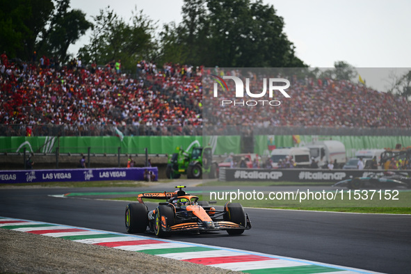 Lando Norris of the McLaren F1 Team drives his single-seater during the race of the Italian GP, the 16th round of the Formula 1 World Champi...