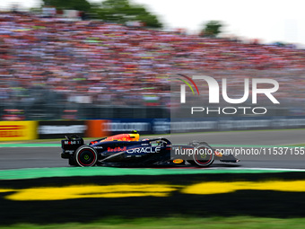 Sergio Perez of Red Bull Racing Honda drives his single-seater during the race of the Italian GP, the 16th round of the Formula 1 World Cham...