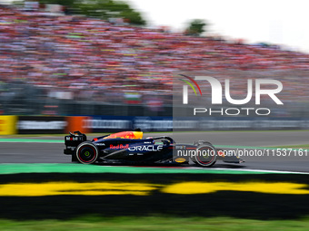 Max Verstappen of Red Bull Racing Honda drives his single-seater during the race of the Italian GP, the 16th round of the Formula 1 World Ch...