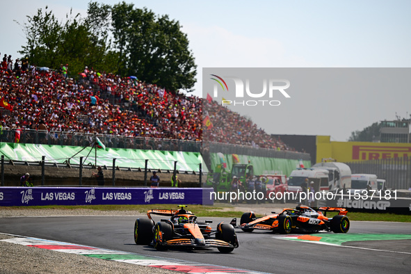 Lando Norris of the McLaren F1 Team drives his single-seater during the race of the Italian GP, the 16th round of the Formula 1 World Champi...