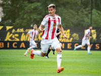 Kamil Odolak plays in a game between Wieczysta Krakow and Pogon Grodzisk Mazowiecki in Krakow, Poland, on September 1, 2024. Polish football...