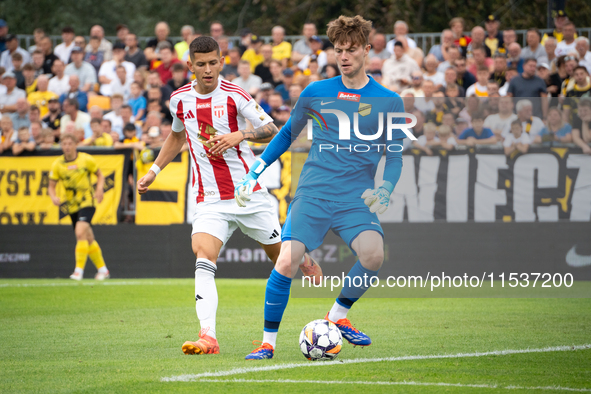 Goalkeeper Antoni Mikulko plays in a game between Wieczysta Krakow and Pogon Grodzisk Mazowiecki in Krakow, Poland, on September 1, 2024. Po...