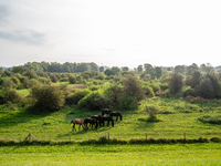 September 1, 2024, is the warmest on record in the country. On Saturday, temperatures climb to 30 degrees in many places in The Netherlands,...