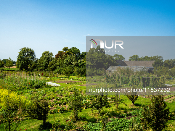 September 1, 2024, is the warmest on record in the country. On Saturday, temperatures climb to 30 degrees in many places in The Netherlands,...