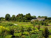 September 1, 2024, is the warmest on record in the country. On Saturday, temperatures climb to 30 degrees in many places in The Netherlands,...