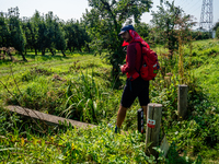 September 1, 2024, is the warmest on record in the country. On Saturday, temperatures climb to 30 degrees in many places in The Netherlands,...