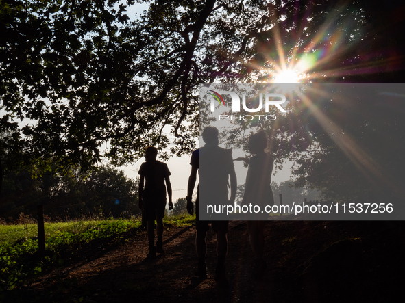 September 1, 2024, is the warmest on record in the country. On Saturday, temperatures climb to 30 degrees in many places in The Netherlands,...