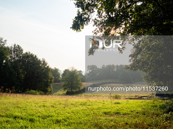 September 1, 2024, is the warmest on record in the country. On Saturday, temperatures climb to 30 degrees in many places in The Netherlands,...